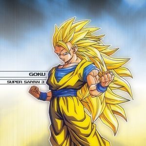 Meet your Posher, Donovan